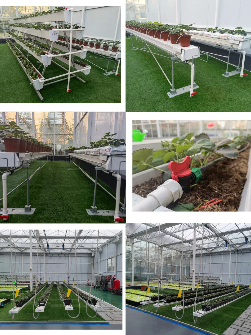 Commercial Greenhouse Planting Soilless Cultivation Hydroponics System Manufacturer Direct Sales