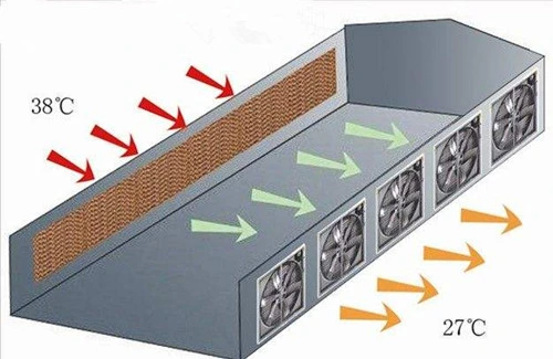 Greenhouse Water Evaporative Cooling System