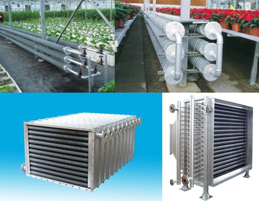 Cold Weather Gas Boiler Heating System for Greenhouse