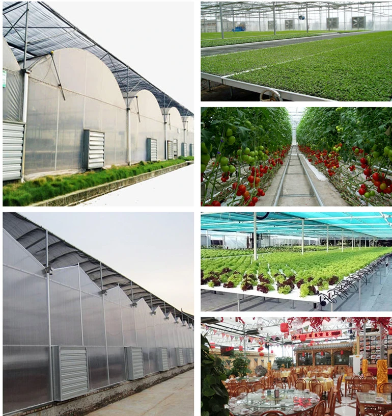 Venlo Glass Multi-Span Intelligent Green House for Horticulture/Flower Market/Ecological Restaurant