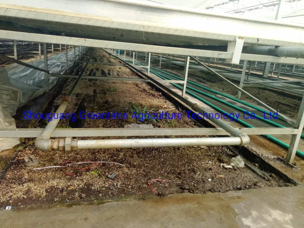 Mesh Commercial Rolling Bench System for Agricultural Planting Nursery