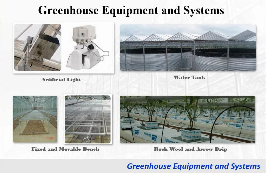 Vegetable Growing Greenhouse with Plastic Film