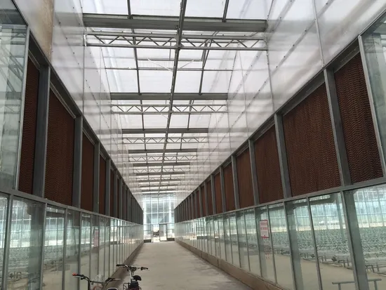 Agricultural Greenhouses Stainless Steel Pad Exhaust Fan Cooling System