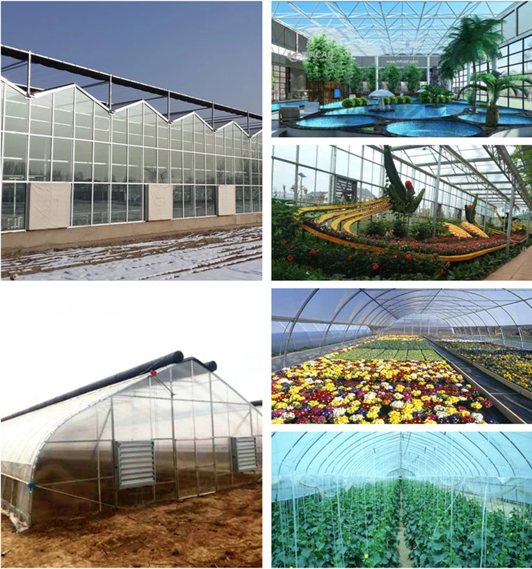 Venlo Glass Multi-Span Intelligent Green House for Horticulture/Flower Market/Ecological Restaurant