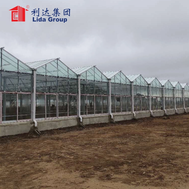 Multi-Span Agricultural Polycarbonate/PC Sheet Greenhouse