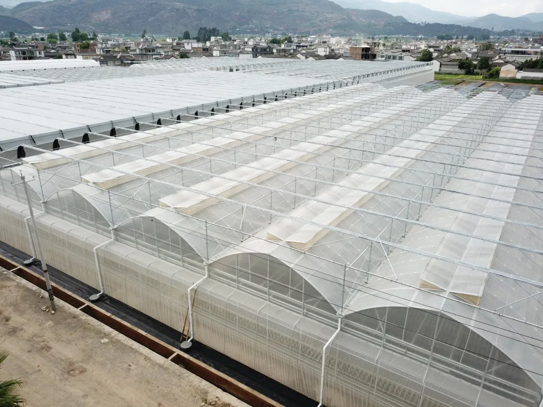 Low Cost Agricultural Used Plastic Film Hydropoinics Greenhouses Building Material for Sale