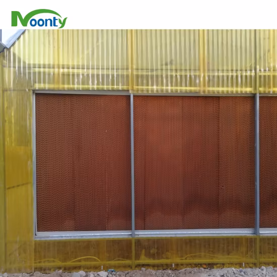 Agricultural Greenhouses Stainless Steel Pad Exhaust Fan Cooling System