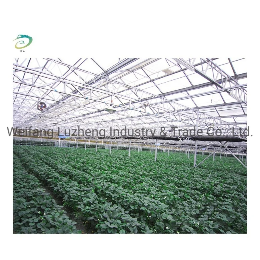 China Complete Polycarbonate PC Sheet Agricultural Greenhouse Turnkey Project with Quick Construction, Film Greenhouse