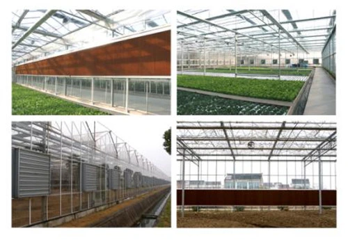 Greenhouse Water Evaporative Cooling System