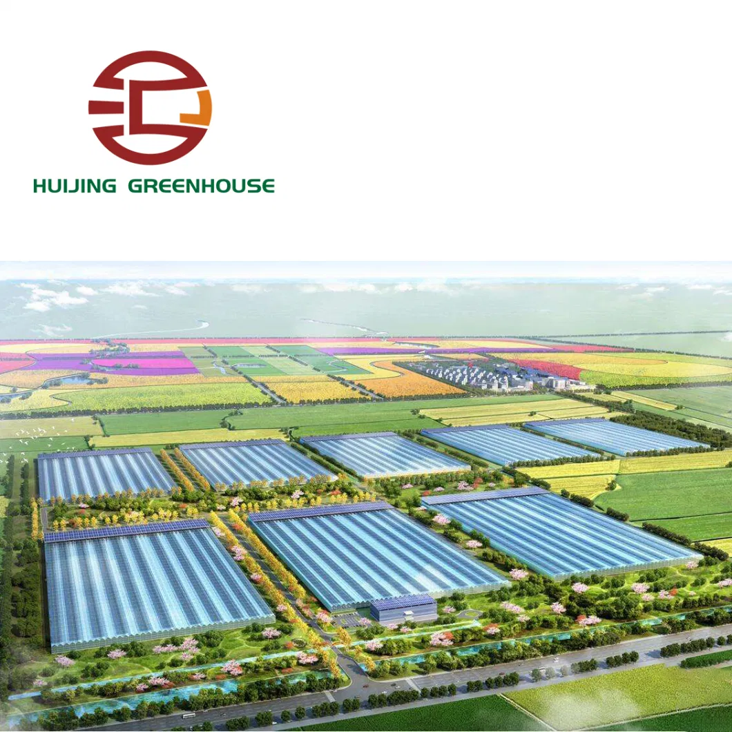 Hydroponics Glass Greenhouse with Complete Systems