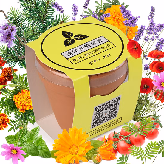 野菜の植え付け